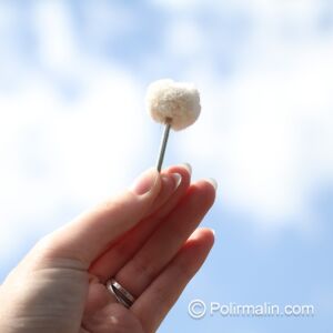 TAMPON DE POLISSAGE EN COTON 25 MM SUR TIGE 3 MM