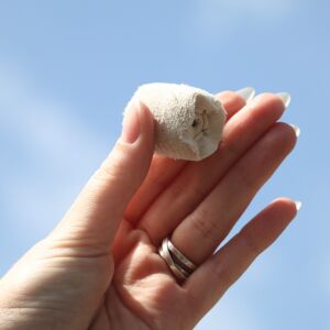 TAMPON DE POLISSAGE EN COTON MINI 25 x 25 MM