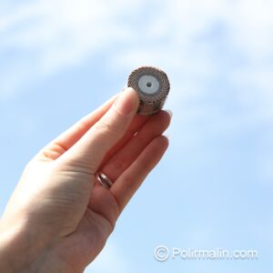 ROUE À LAMELLES ABRASIVES Ø25 x 20 MM AVEC FILETAGE M4, P80
